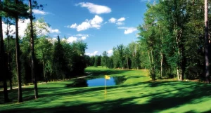 golf course signature 17 hole
