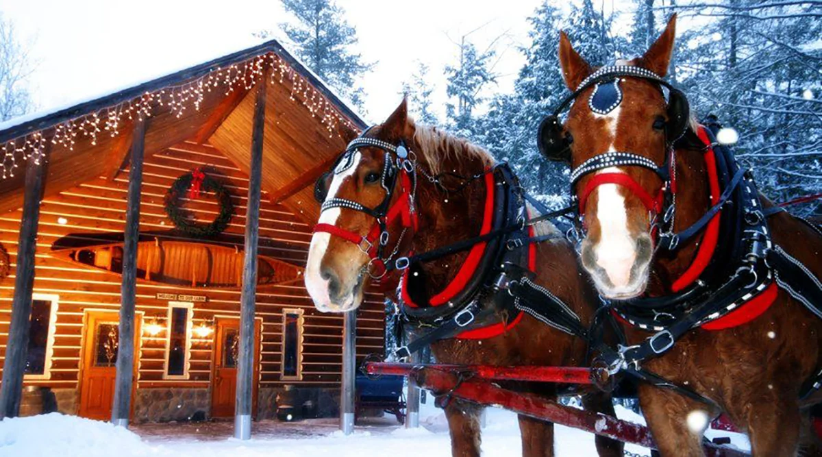 cabin outside winter Elk Viewing Sleigh-Ride 