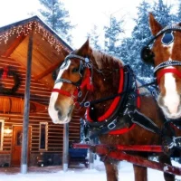 cabin-outside-winter-Elk Viewing Sleigh-Ride